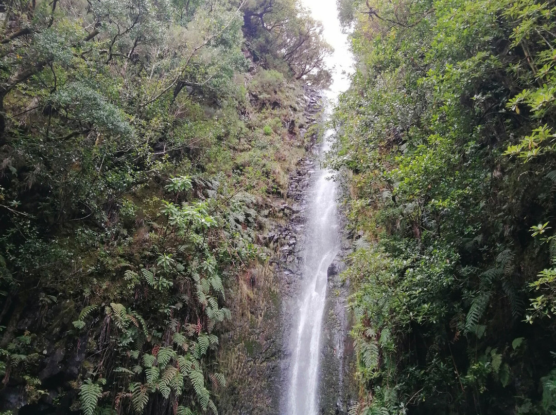 25 Fontes and Cascada da Risco-马德拉群岛必去景点