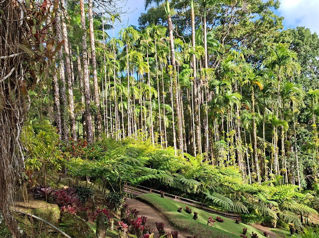 Jardin de Balata-法兰西堡必去景点