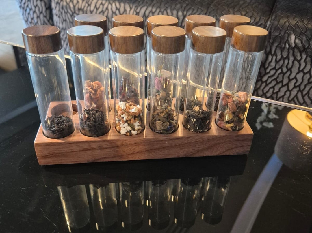 飞行员汉普郡主图