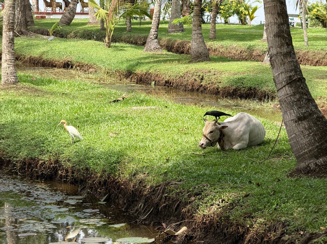 椰子礁湖-CGH土地酒店主图