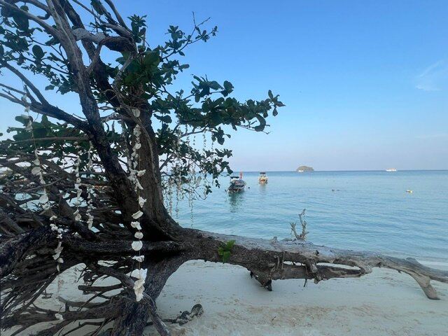 利普岛卡斯特韦度假村-泳池