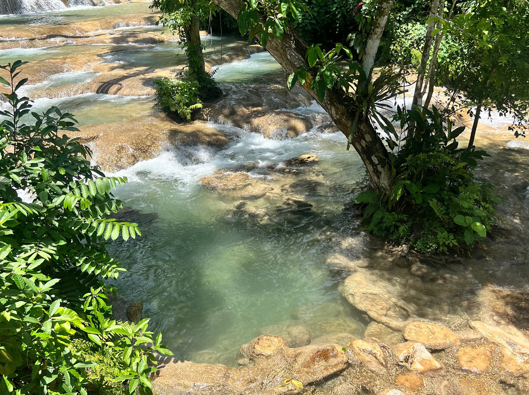 Dunn's River Falls and Park-奥乔里奥斯必去景点