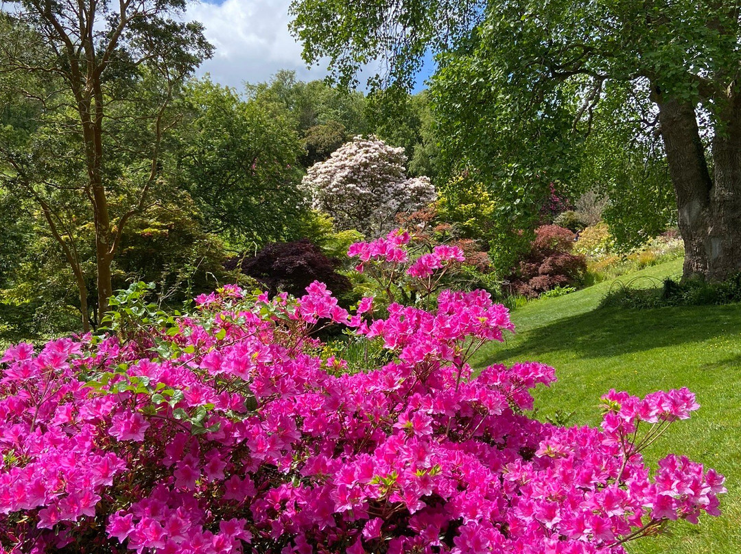 Coleton Fishacre-Kingswear必去景点