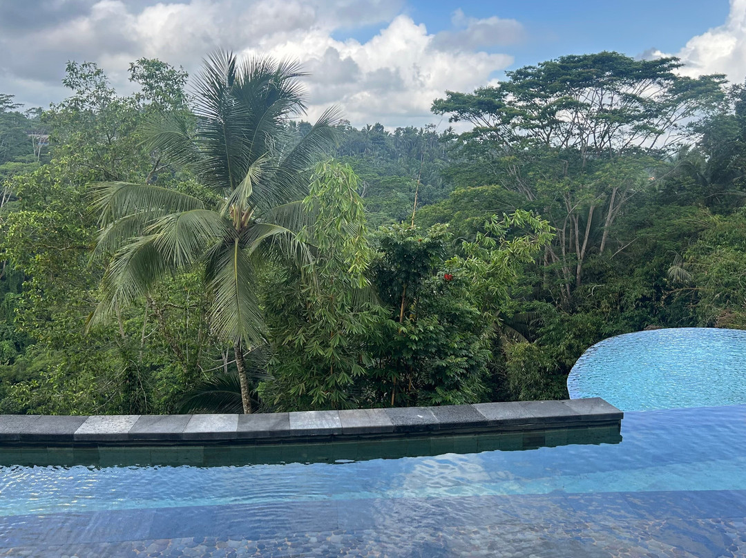 Wanna Jungle Pool and Bar-佩艳艮必去景点