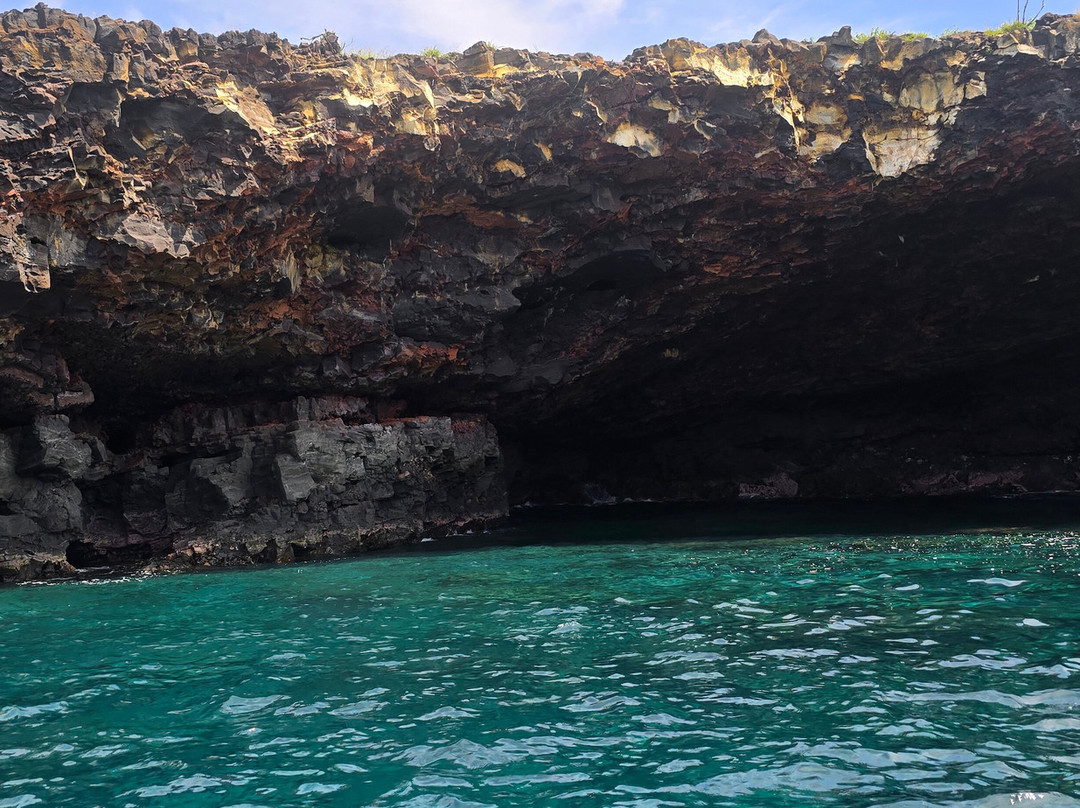 Kona Ocean Experience-凯鲁瓦-柯纳必去景点
