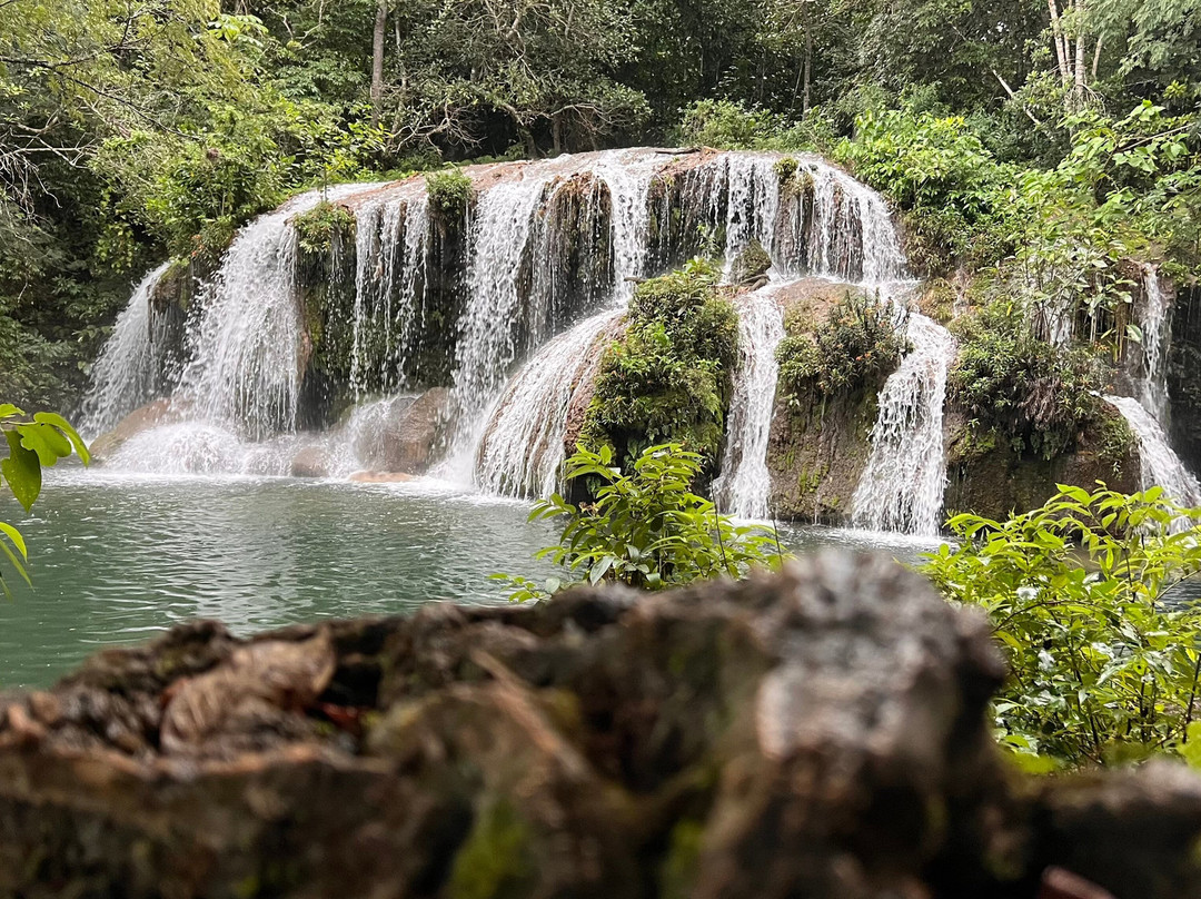 Estancia Mimosa Ecoturismo-博尼图必去景点