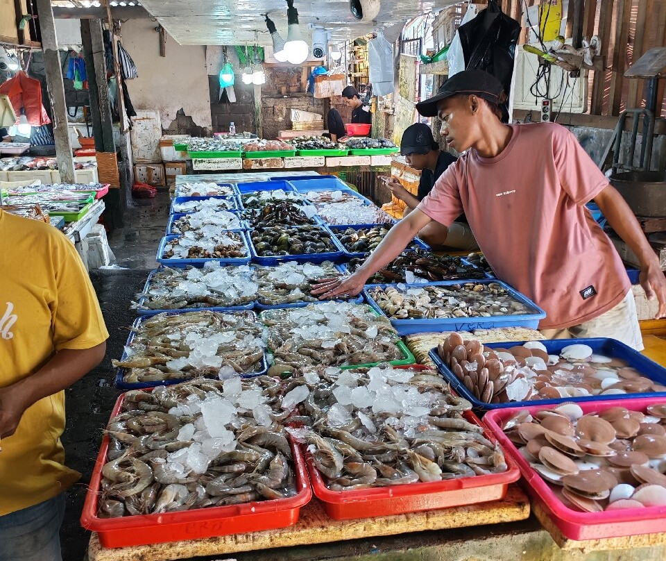 Bali Chauffeur - Day Tours-沙努尔必去景点