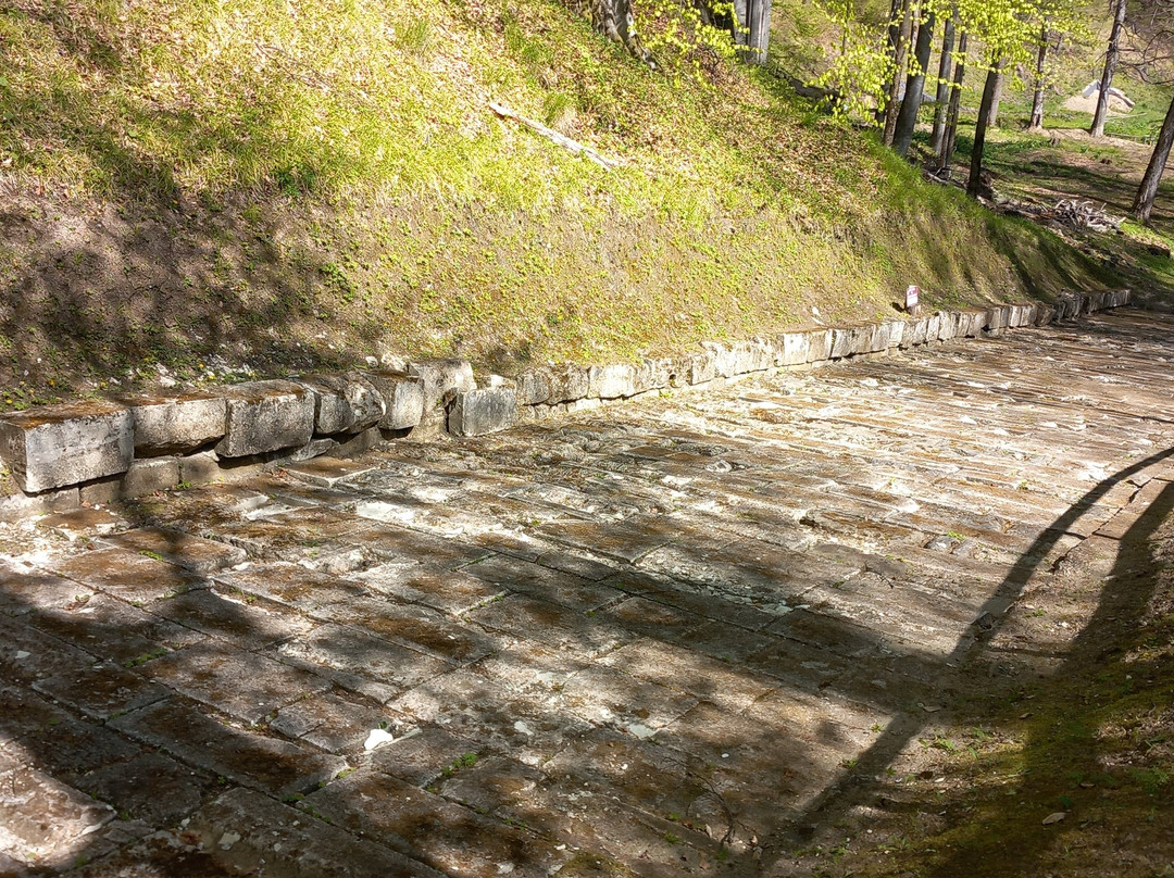 Sarmizegetusa Regia-Hunedoara County必去景点