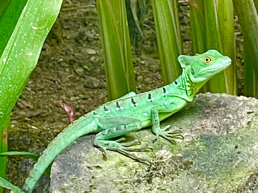 My Costa Rica-圣何塞必去景点