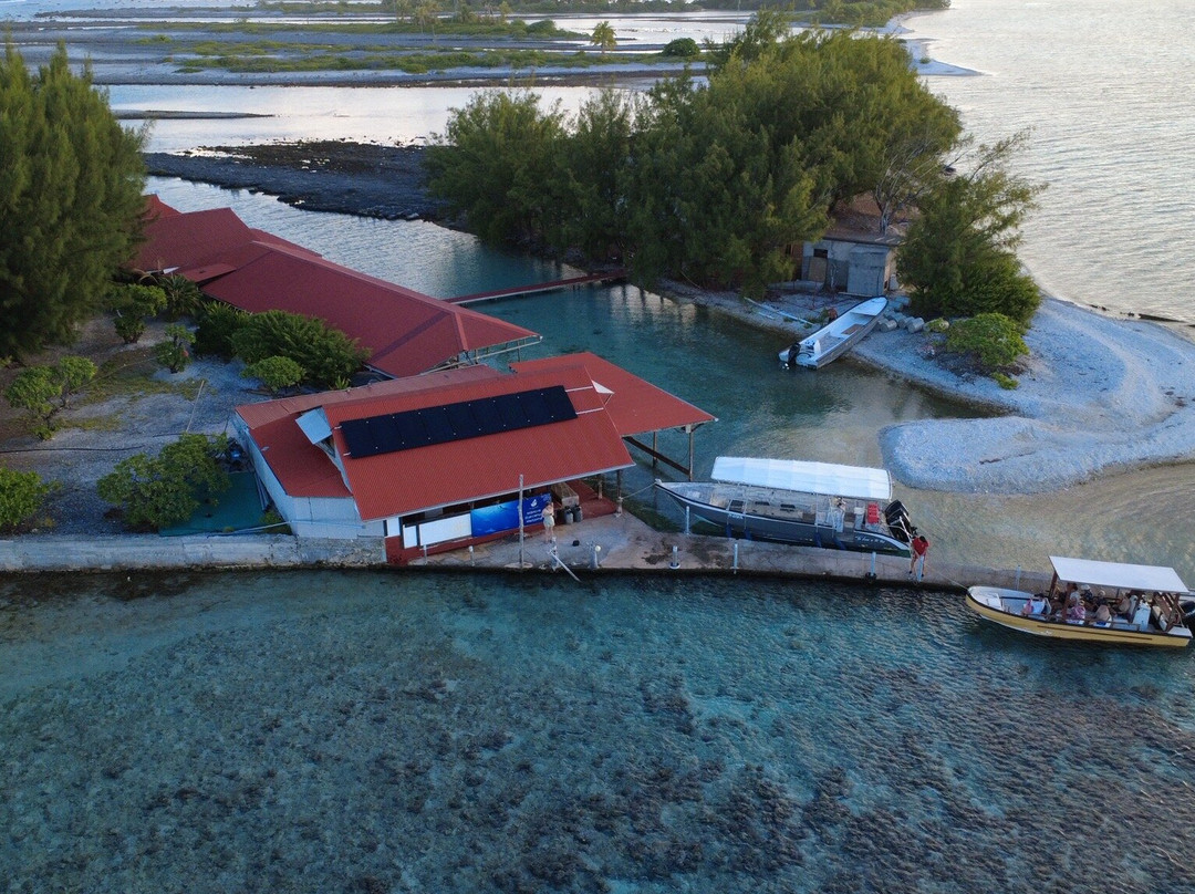 Motu Aito Paradise主图