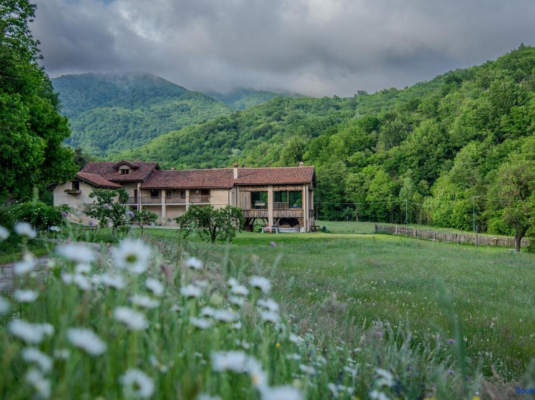 Wild Adelasia - Cascina Sarvaglioni