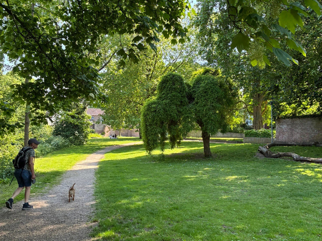 Torckpark Wageningen