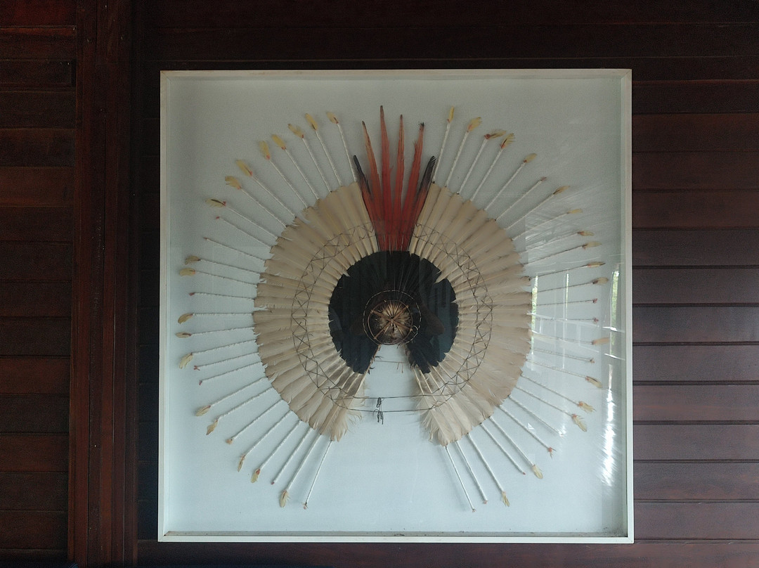 Museu Histórico do Tocantins-Palmas必去景点