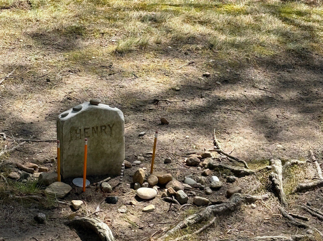 Sleepy Hollow Cemetery-康科德必去景点