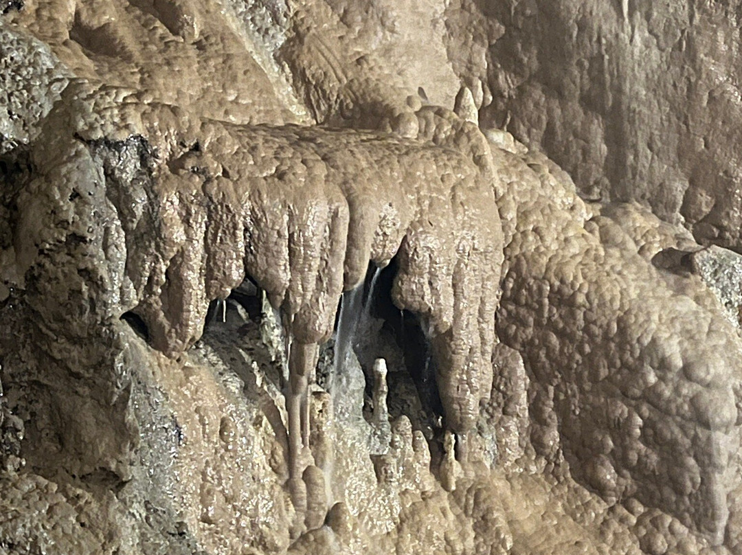 Cascade Caverns-Boerne必去景点