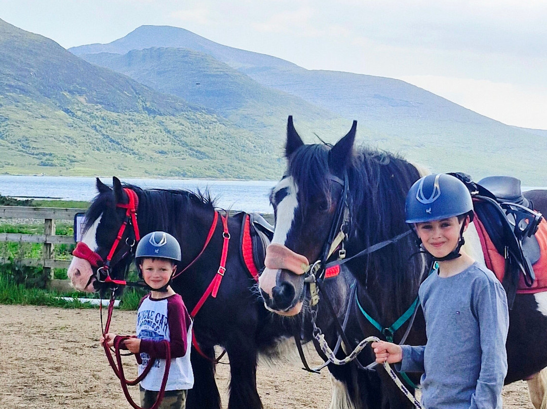 Mull Pony Trekking-马尔岛必去景点