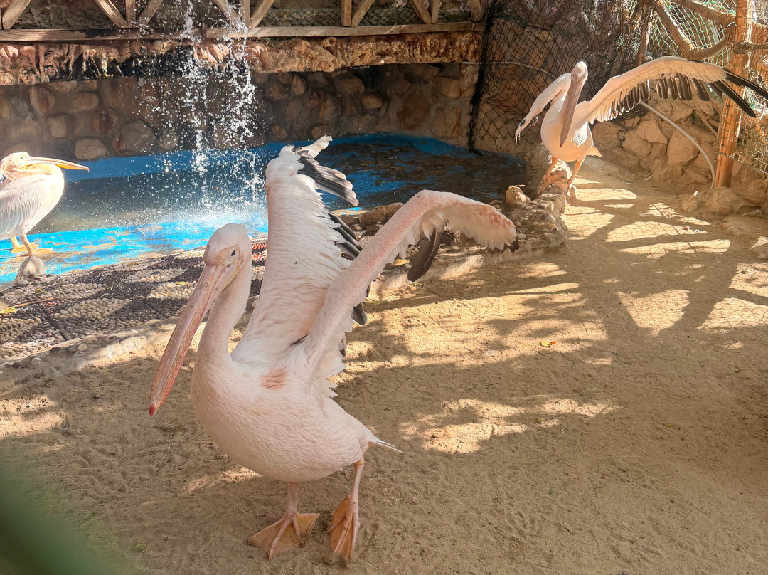 Hurghada Grand Aquarium-赫尔格达必去景点