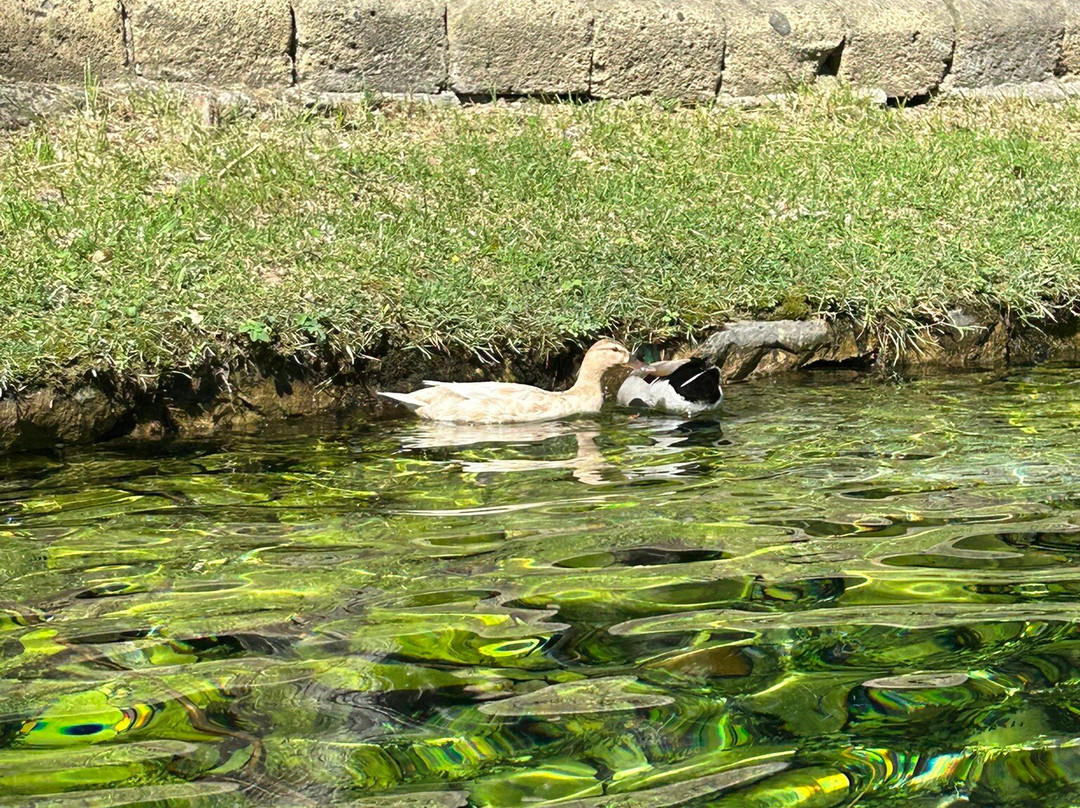 Parco del Grassano-San Salvatore Telesino必去景点