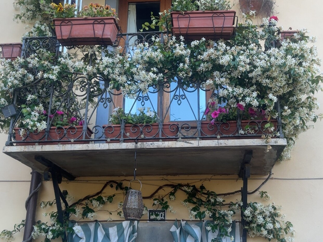 Casa La Pace Bed and Breakfast主图