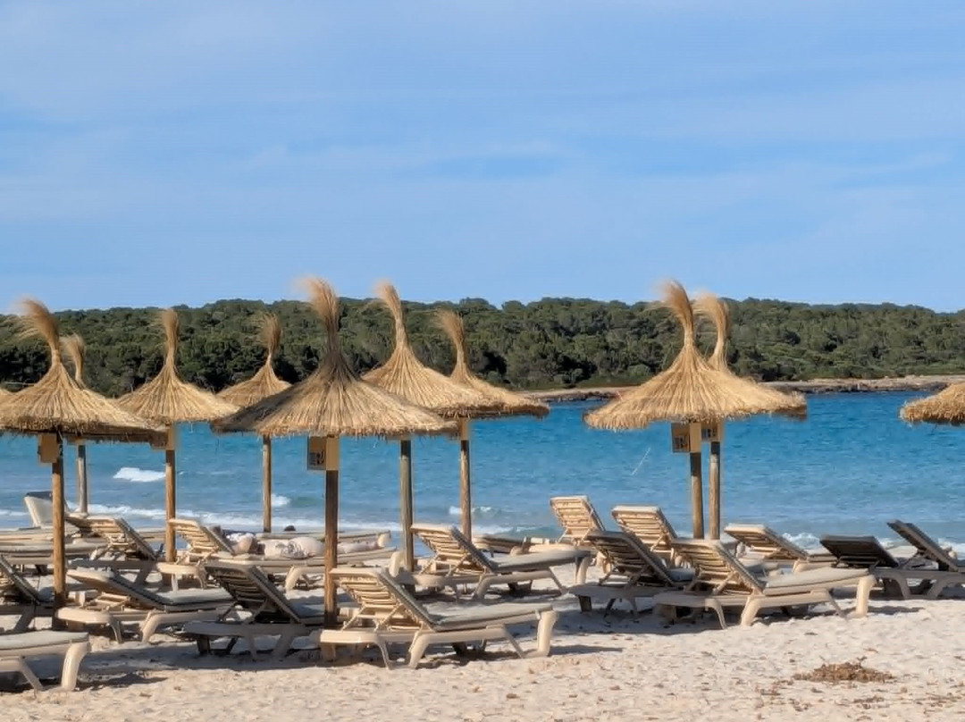 HOTEL BRISA MARINA ADULTS ONLY +18主图