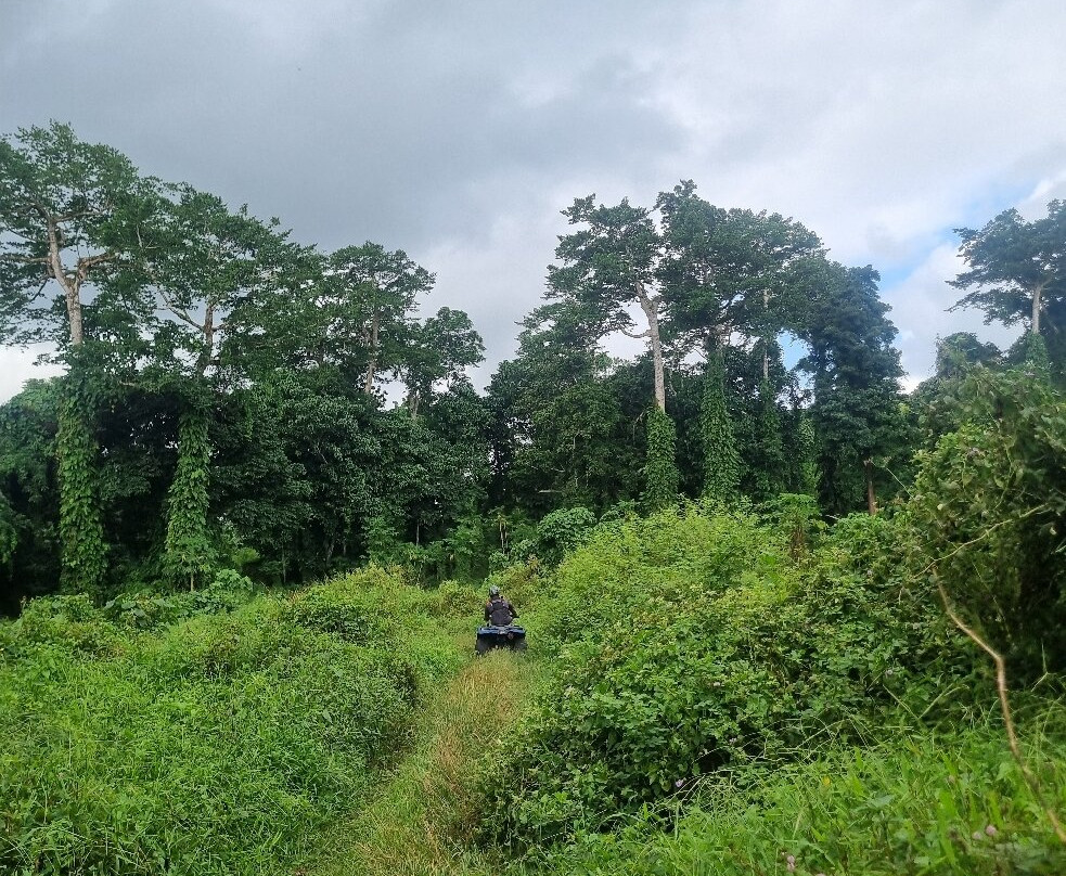 Adventure Quad Tours-维拉港必去景点
