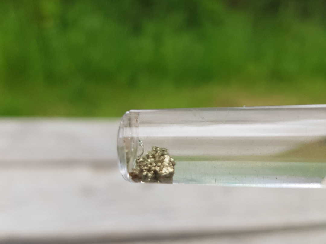 Holsworthy Gold Panning-Holsworthy必去景点