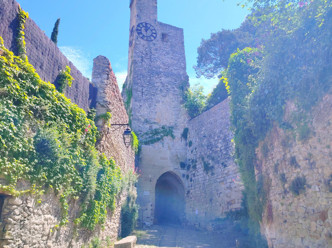 Vaison la Romaine-韦松拉罗迈纳必去景点