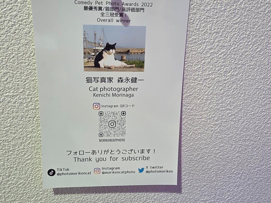 Ainoshima Tourist Information Center-新宫町必去景点