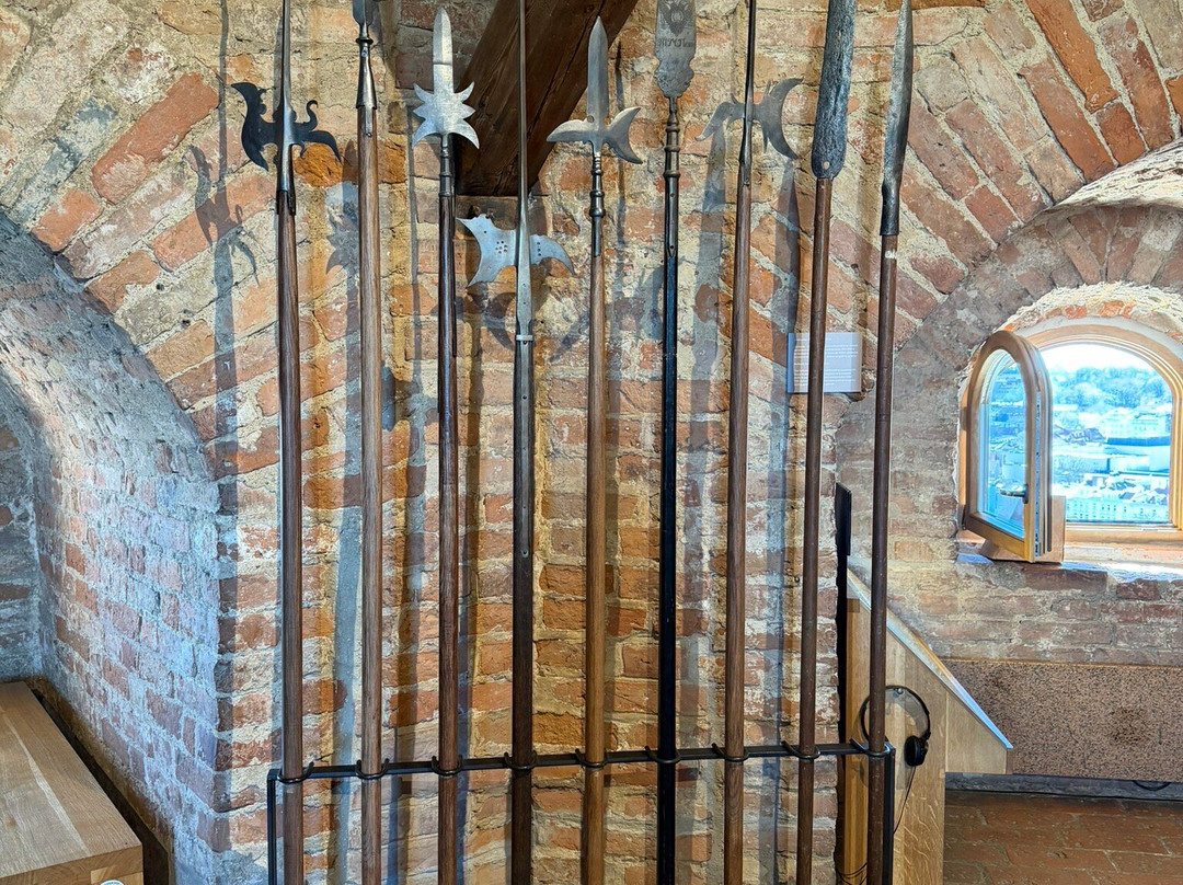 Gediminas Castle Tower-维尔纽斯必去景点