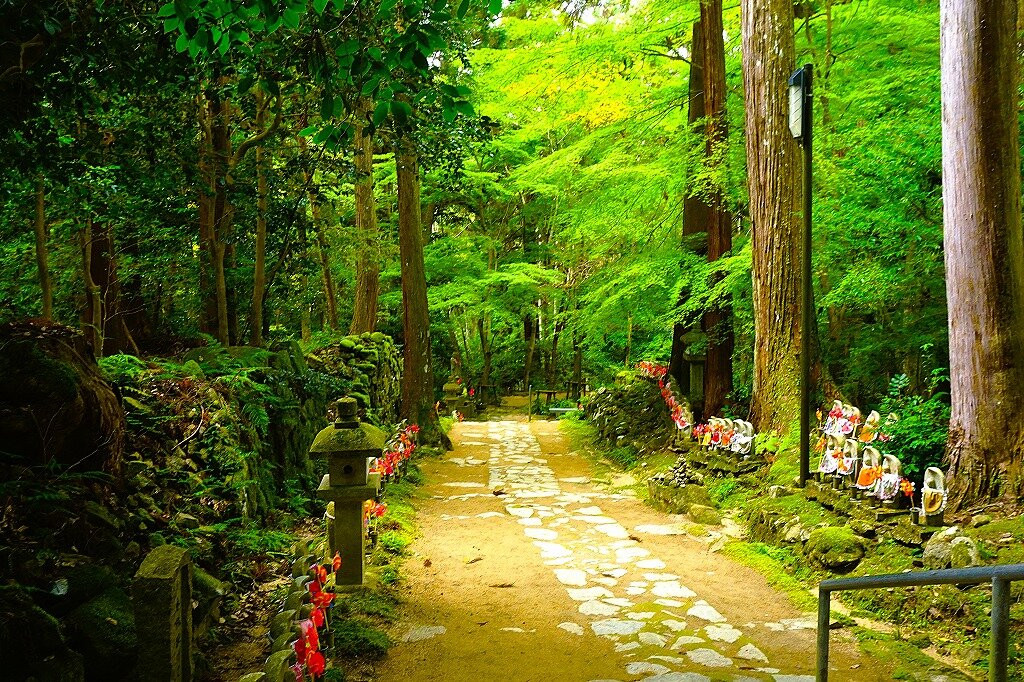 Kongorin-ji Temple-爱庄町必去景点