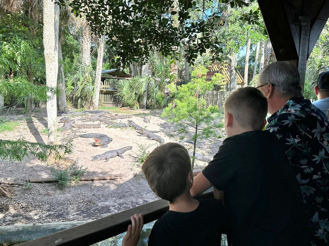 St. Augustine Alligator Farm Zoological Park-圣奥古斯丁必去景点