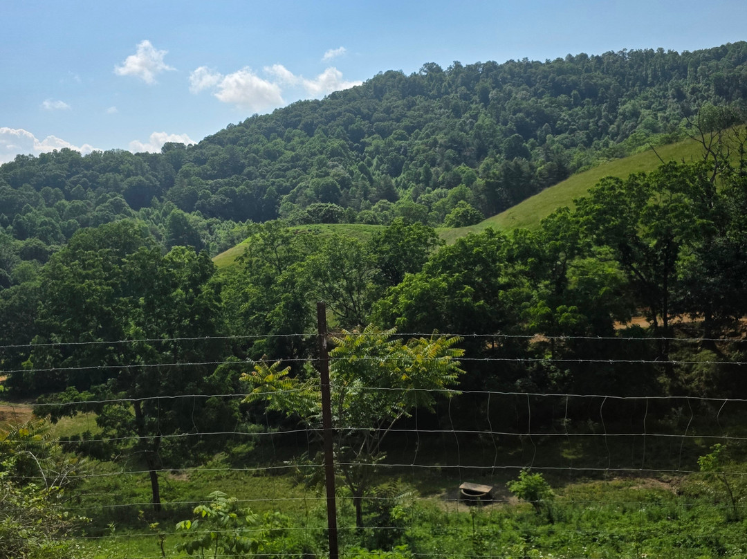 Sandy Bottom Trail Rides-Marshall必去景点