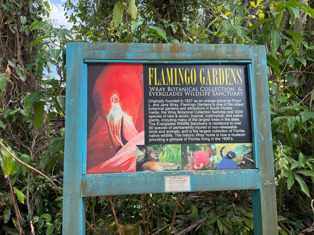 Flamingo Gardens-戴维必去景点