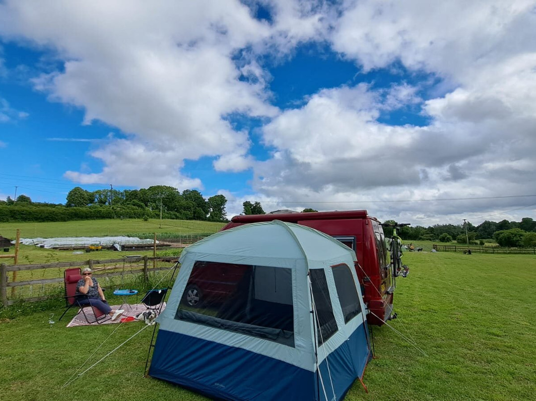Ladybird Farm