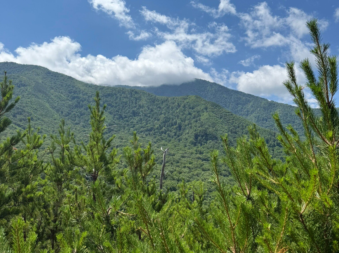 Roaring Fork Motor Nature Trail-大雾山国家公园必去景点