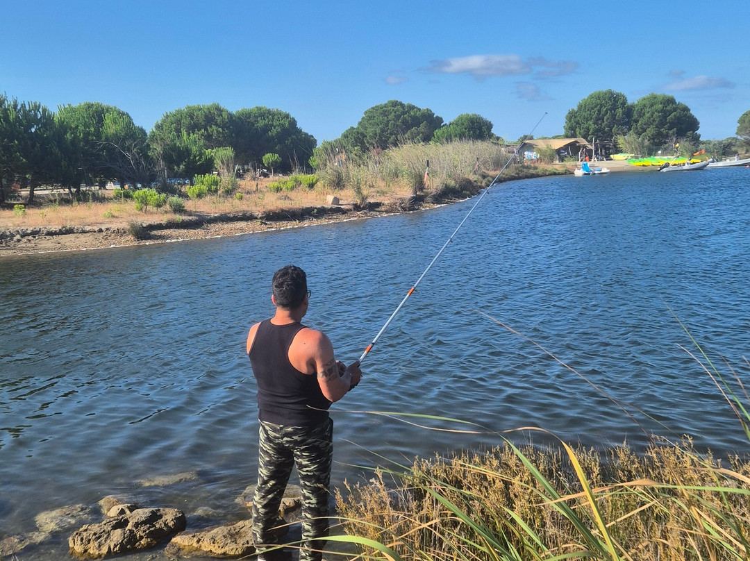 Camping Yelloh! Village Les Petits Camarguais主图