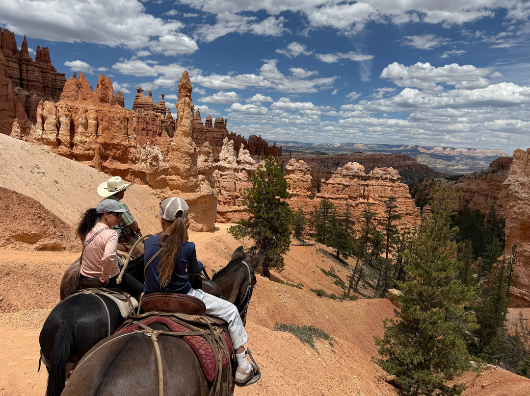Canyon Trail Rides-特罗皮克必去景点