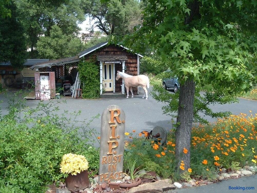 Calaveras County酒店住宿-The Bonnie Inn