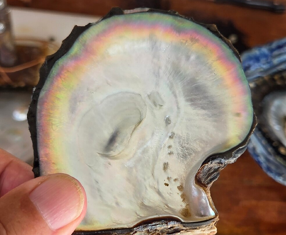 Huahine Pearl Farm-Huahine必去景点
