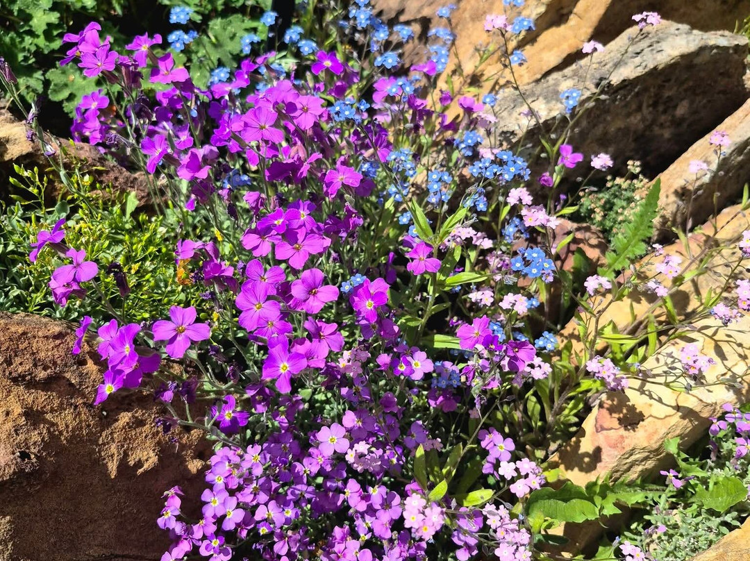 Betty Ford Alpine Gardens-韦尔必去景点