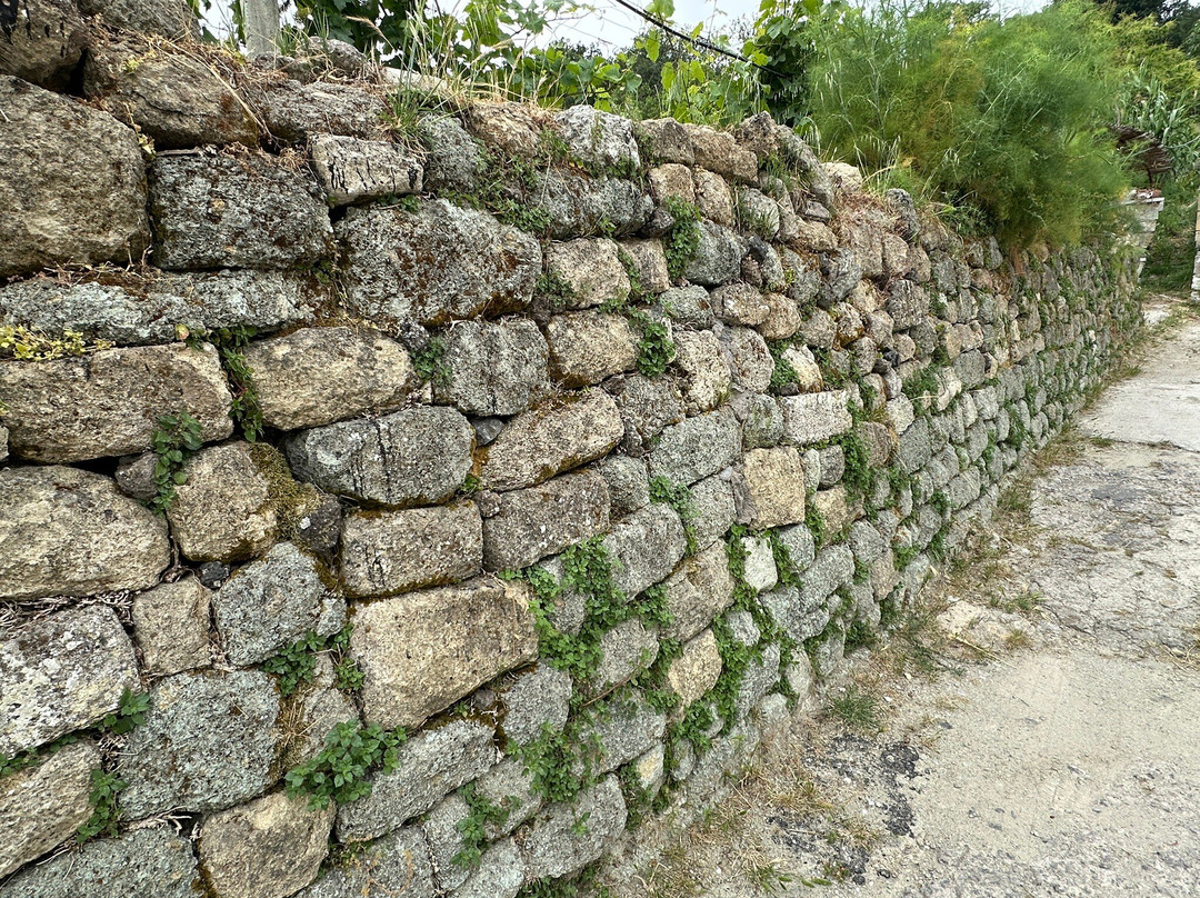 Vini Cenatiempo Ischia-伊斯基亚必去景点
