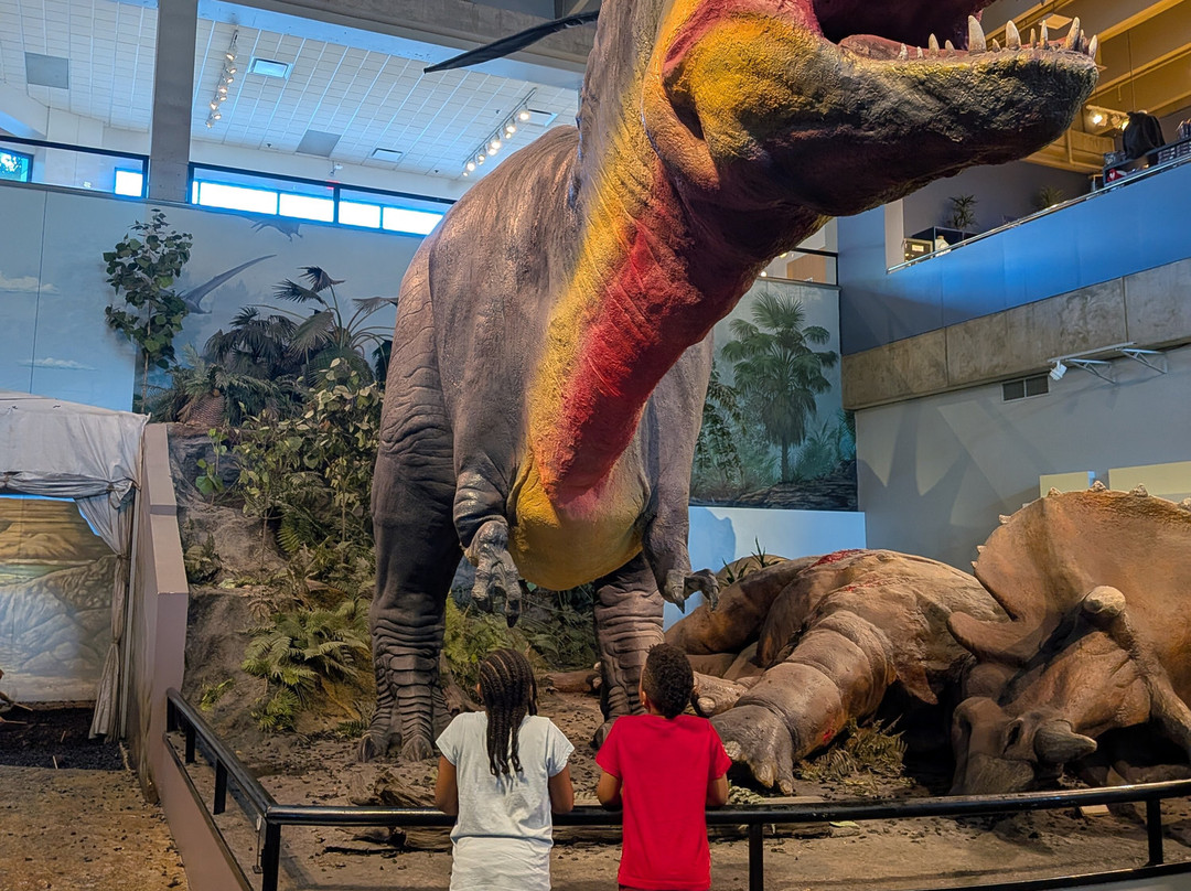 Saint Louis Science Center-圣路易斯必去景点
