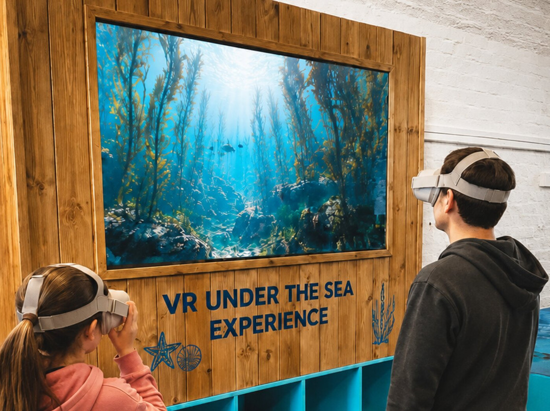 Oceans of Discovery Experience-克罗斯黑文必去景点