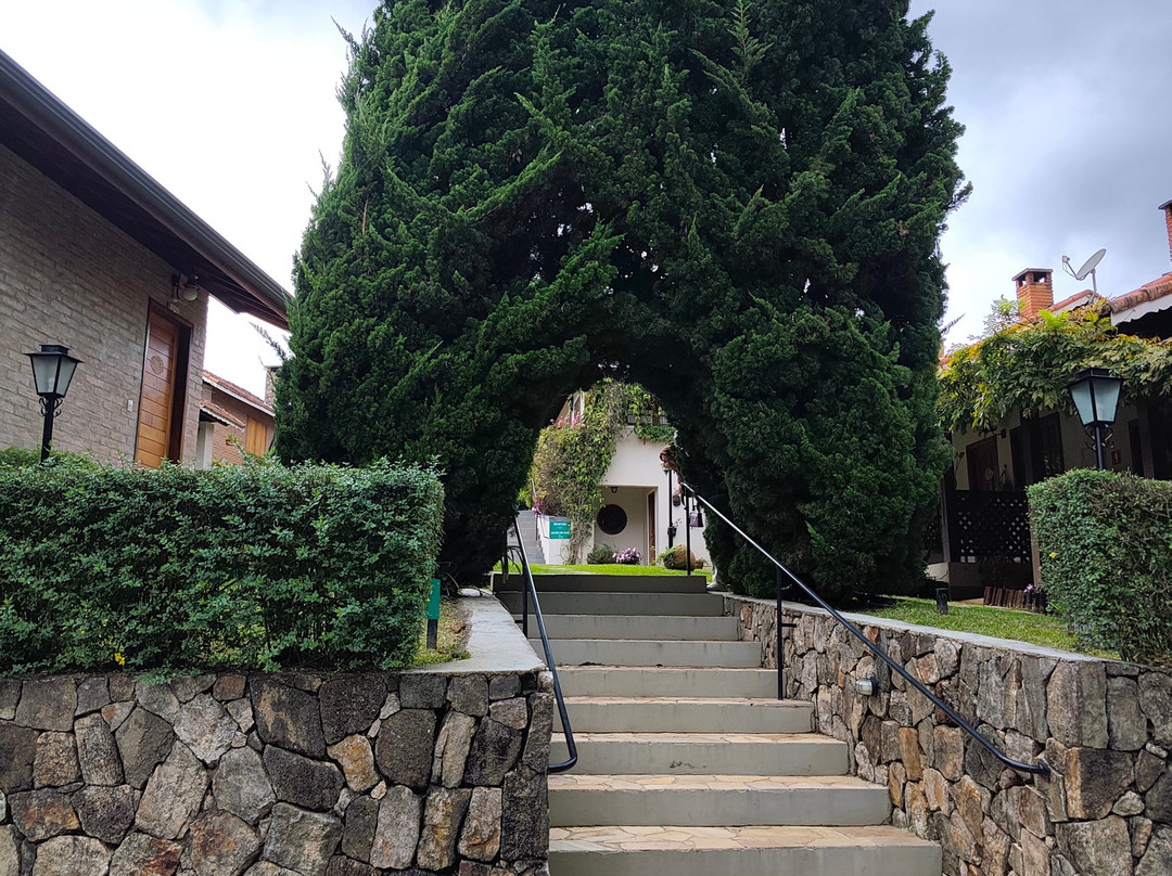 花谷旅馆主图