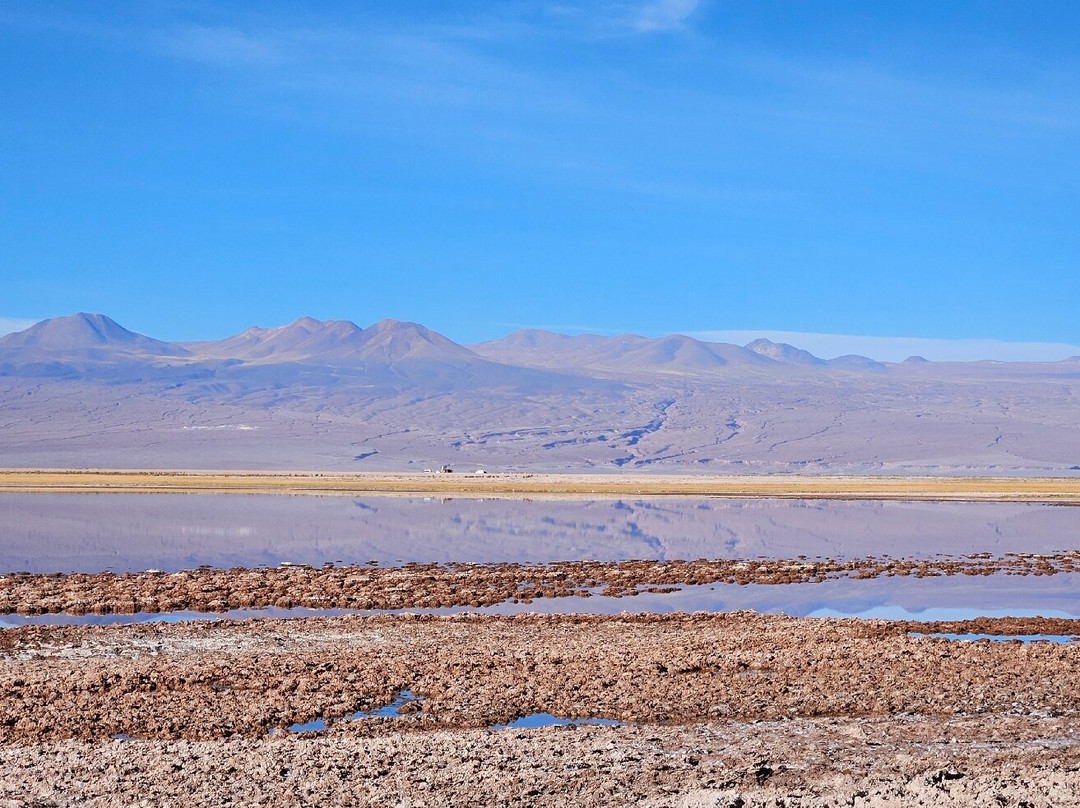 Laguna Cejar-圣佩德罗-德阿塔卡马必去景点