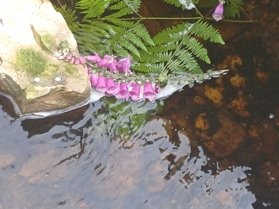 Glenevin Waterfall-Clonmany必去景点