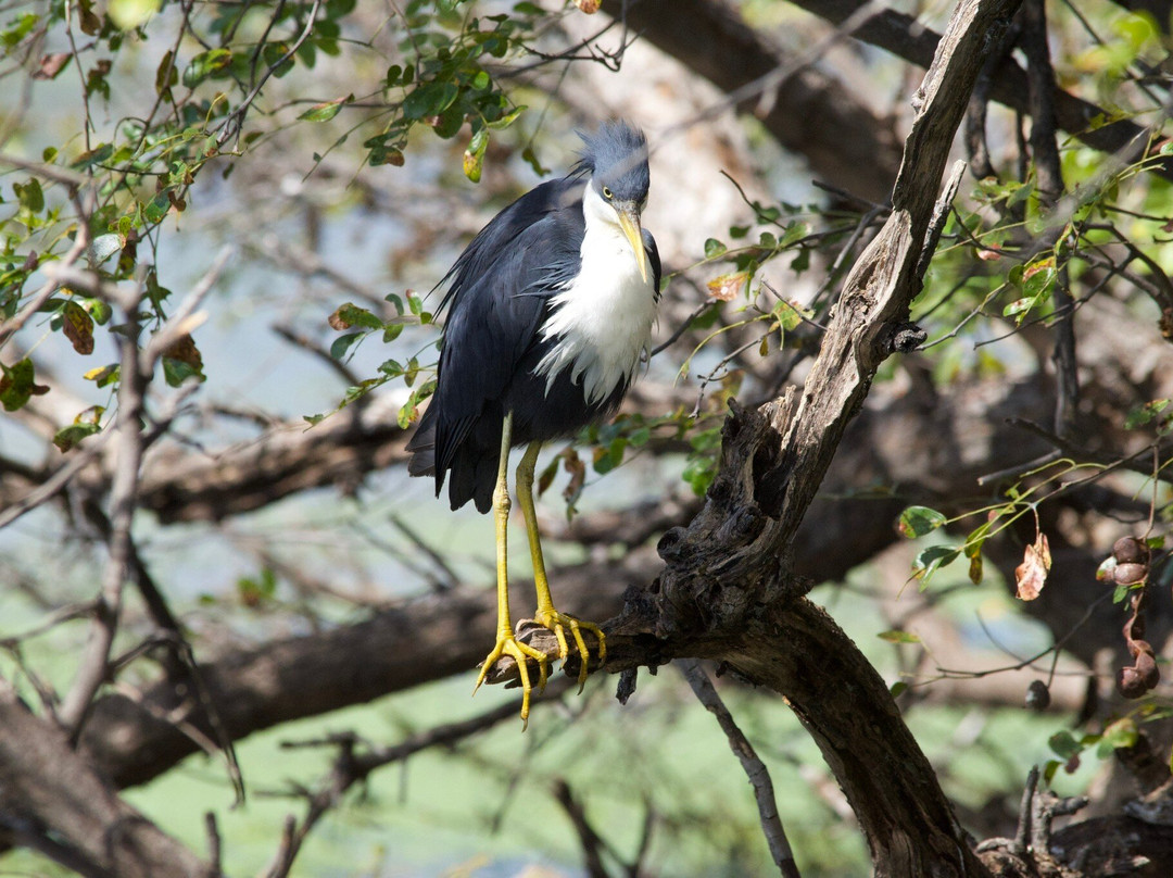 Kimberley Safari Tours-North Perth必去景点