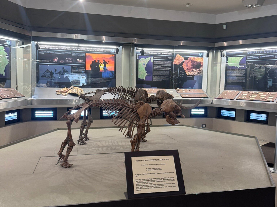 Museo Archeologico Regionale Paolo Orsi-锡拉库扎必去景点