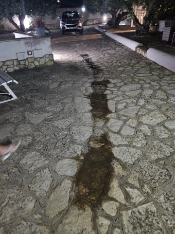斯诺里诺酒店-旅行者