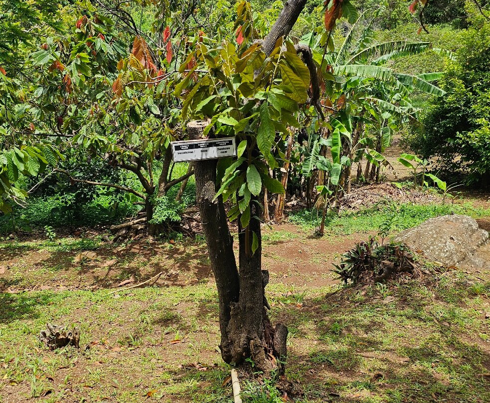 Laura's Herb & Spice Garden-St. George's必去景点